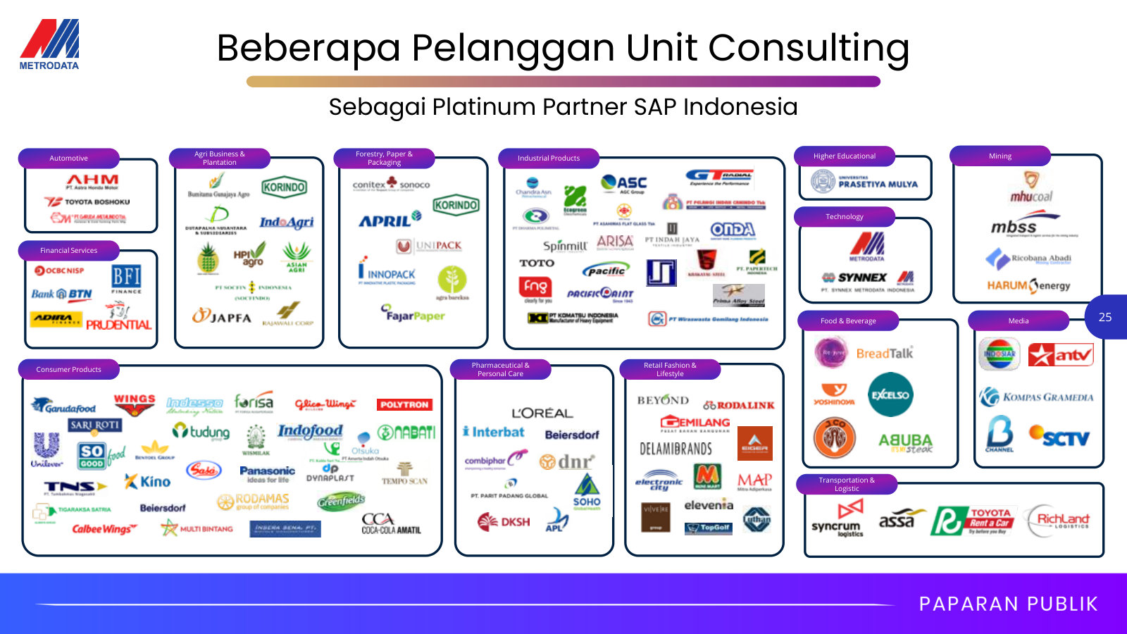 The consulting customer base by industry and Metrodata's SAP Platinum Partner standing — who actually buys the solutions.